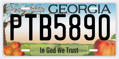 GA license plate PTB5890