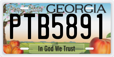 GA license plate PTB5891