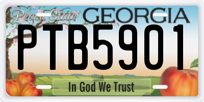 GA license plate PTB5901