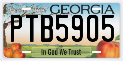 GA license plate PTB5905