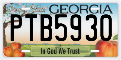 GA license plate PTB5930