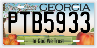 GA license plate PTB5933
