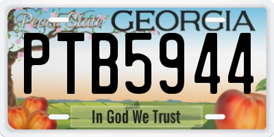 GA license plate PTB5944