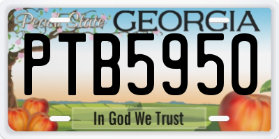GA license plate PTB5950