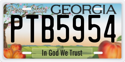 GA license plate PTB5954