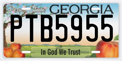 GA license plate PTB5955