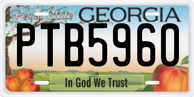 GA license plate PTB5960