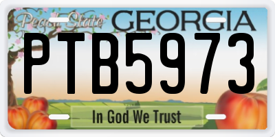 GA license plate PTB5973