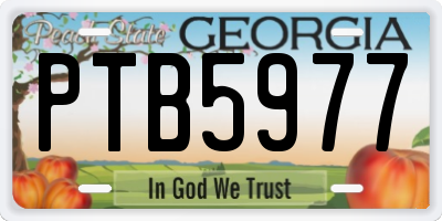 GA license plate PTB5977