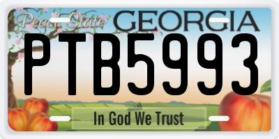 GA license plate PTB5993