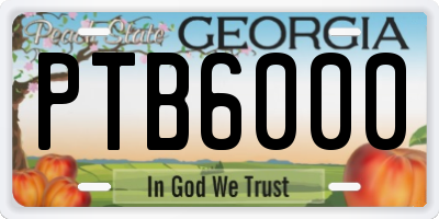 GA license plate PTB6000