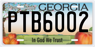 GA license plate PTB6002