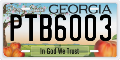 GA license plate PTB6003