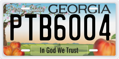 GA license plate PTB6004