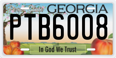 GA license plate PTB6008