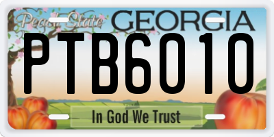 GA license plate PTB6010