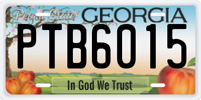 GA license plate PTB6015