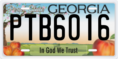 GA license plate PTB6016
