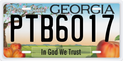 GA license plate PTB6017