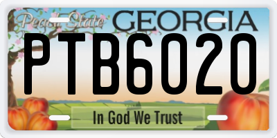 GA license plate PTB6020