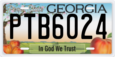 GA license plate PTB6024