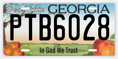 GA license plate PTB6028