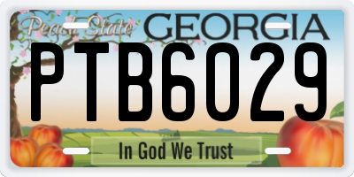 GA license plate PTB6029
