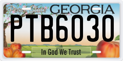 GA license plate PTB6030