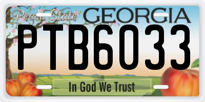 GA license plate PTB6033