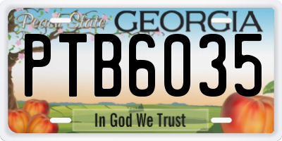 GA license plate PTB6035