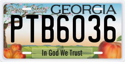 GA license plate PTB6036