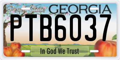 GA license plate PTB6037