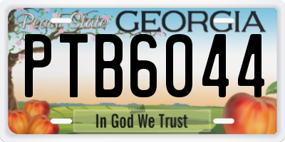 GA license plate PTB6044