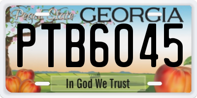 GA license plate PTB6045