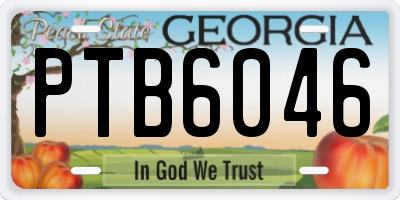 GA license plate PTB6046