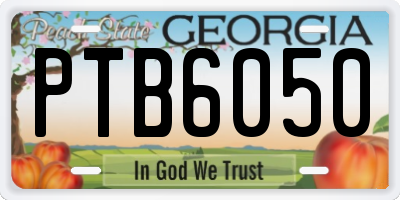 GA license plate PTB6050