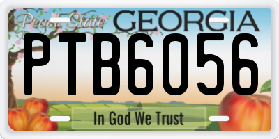 GA license plate PTB6056