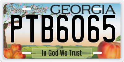 GA license plate PTB6065