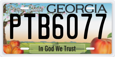 GA license plate PTB6077