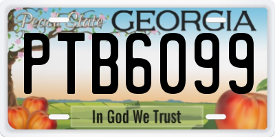 GA license plate PTB6099