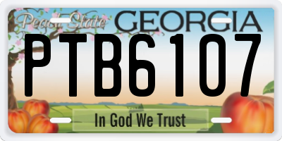 GA license plate PTB6107