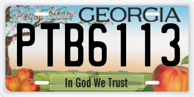 GA license plate PTB6113