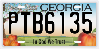 GA license plate PTB6135
