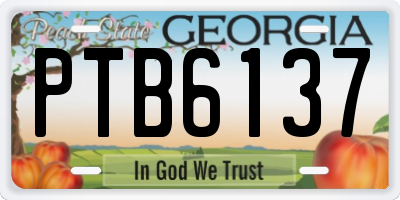 GA license plate PTB6137
