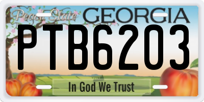 GA license plate PTB6203