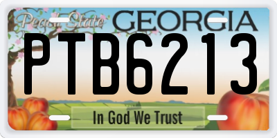 GA license plate PTB6213