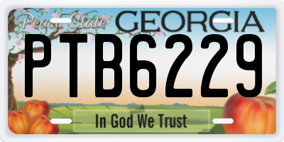 GA license plate PTB6229