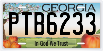GA license plate PTB6233