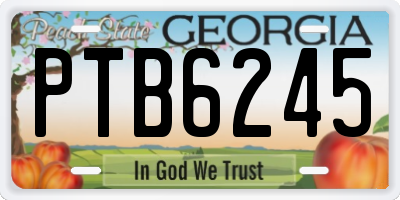 GA license plate PTB6245