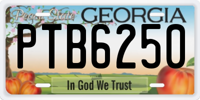 GA license plate PTB6250
